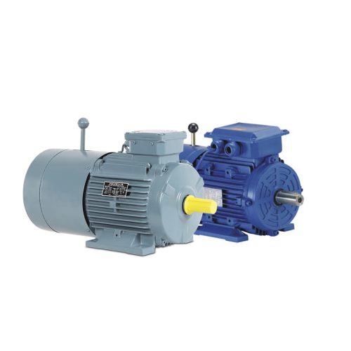Brake Duty Motors