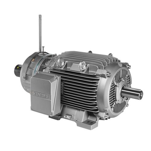Crane & Hoist Duty Motors