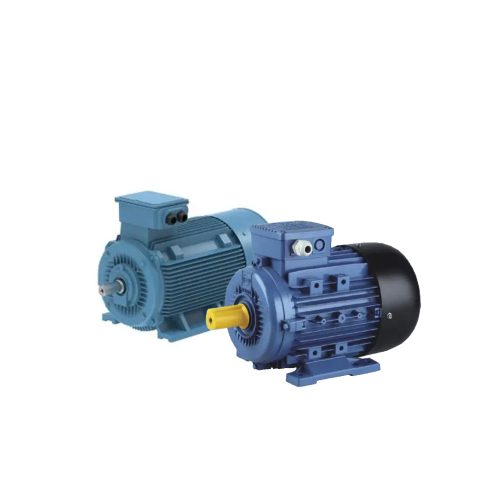 Three Phase Motor
